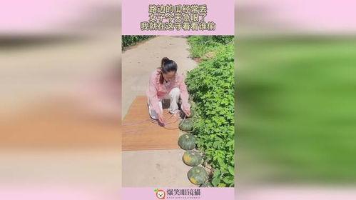 吃瓜急眼视频在线观看免费,揭秘热门话题背后的真相 第2张 吃瓜急眼视频在线观看免费,揭秘热门话题背后的真相 第2张