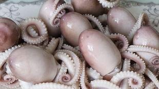 网红八爪鱼事件吃瓜视频,揭秘网络暴力与真相的较量  第3张